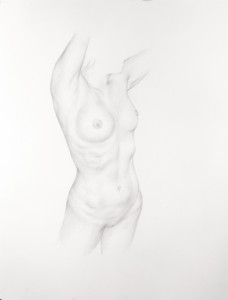 Dan  Witz -  <strong>Torso 3</strong> (2011<strong style = 'color:#635a27'></strong>)<bR /> silverpoint on paper, 
 18 x 14 inches (45.72 x 35.56 cm) 
24.5 x 20 x 1.5 inches, framed