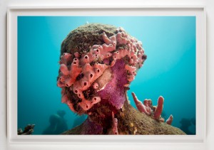 Jason  deCaires Taylor -  <strong>Vicissitudes 2</strong> (2012<strong style = 'color:#635a27'></strong>)<bR /> digital C print, 
 20 x 30 inches 
(50.8 x 76.2 cm) 
27 x 37 x 1.5 inches, framed, 
 Edition of 5