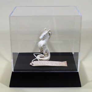Scott  Musgrove -  <strong>Swamp Horse Carving</strong> (2010<strong style = 'color:#635a27'></strong>)<bR /> bone 
3.5 x 1.5 x 1.5 inches  
(8.89  x 3.81 s 3.81 cm), 
 display case = 7 x 7 x 5 inches