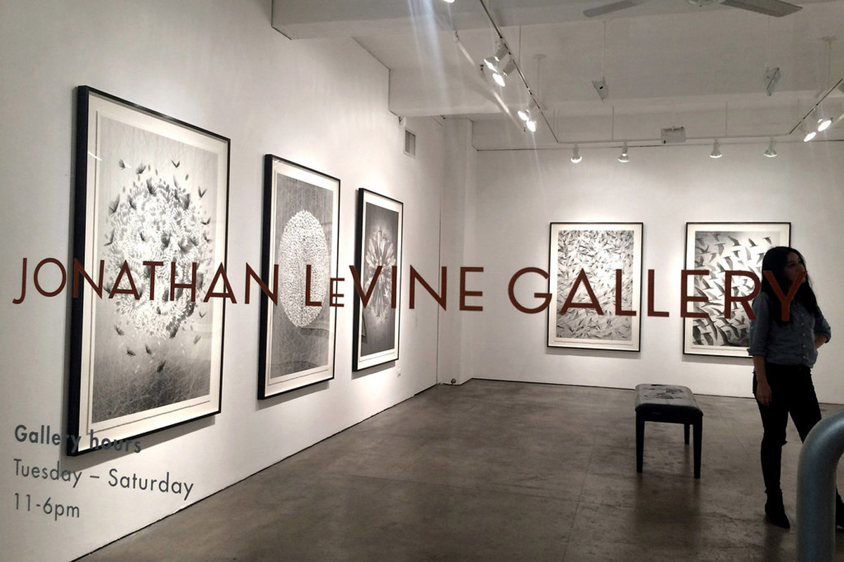 Jonathan-LeVine-Gallery1