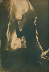 Faith47 -  <strong>Phoebe</strong> (2016<strong style = 'color:#635a27'></strong>)<bR /> cyanotype,
23.6 x 15.7 inches,
(60 x 40 cm)
$2,500