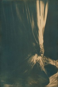 Faith47 -  <strong>Rhea</strong> (2016<strong style = 'color:#635a27'></strong>)<bR /> cyanotype,
23.6 x 15.7 inches,
(60 x 40 cm)
$2,500