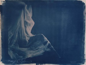 Faith47 -  <strong>Relegare</strong> (2016<strong style = 'color:#635a27'></strong>)<bR /> cyanotype,
23.6 x 15.7 inches,
(60 x 40 cm)
$2,500